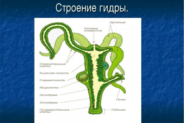 Kraken официальный сайт ссылка через tor